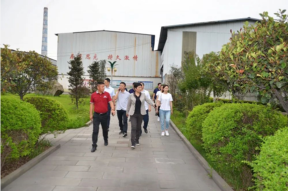 泸州广发网页版玻璃公司.png
