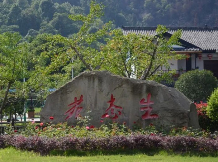 生态工厂 幸福广发网页版｜广发网页版集团开展丰富文体活动